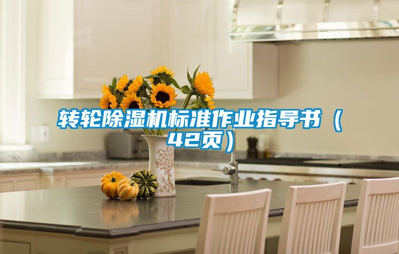 轉輪除濕機標準作業指導書（42頁）