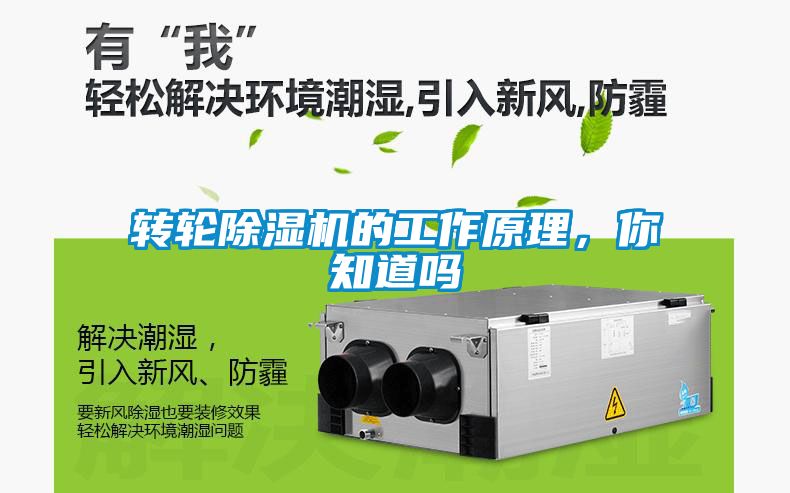 轉(zhuǎn)輪除濕機的工作原理，你知道嗎