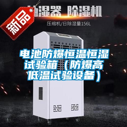 電池防爆恒溫恒濕試驗箱（防爆高低溫試驗設備）