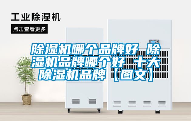 除濕機哪個品牌好 除濕機品牌哪個好 十大除濕機品牌【圖文】