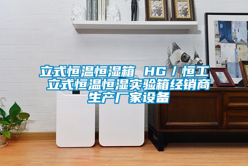 立式恒溫恒濕箱 HG/恒工 立式恒溫恒濕實驗箱經銷商 生產廠家設備