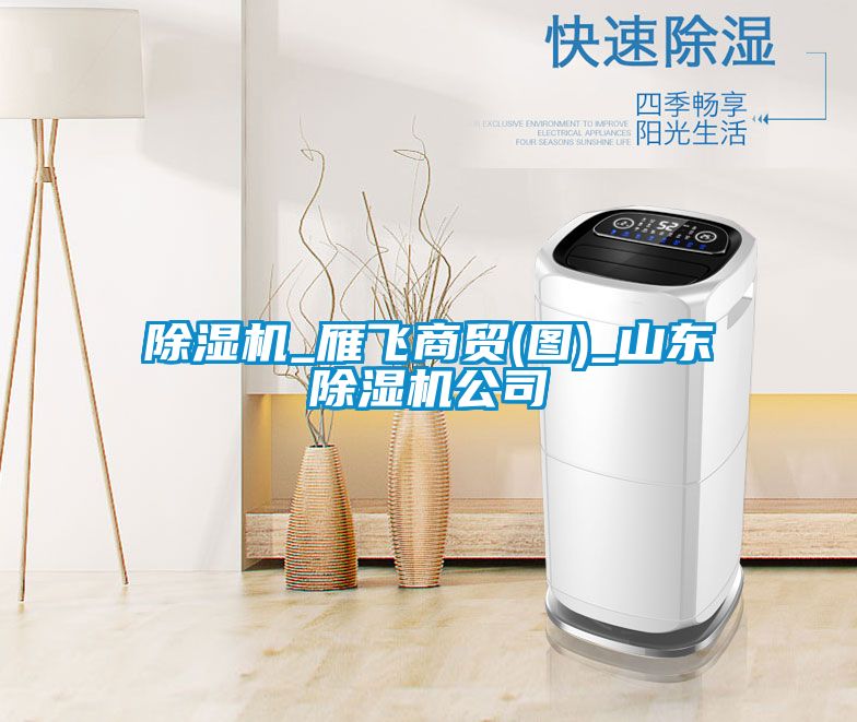 除濕機_雁飛商貿(mào)(圖)_山東除濕機公司