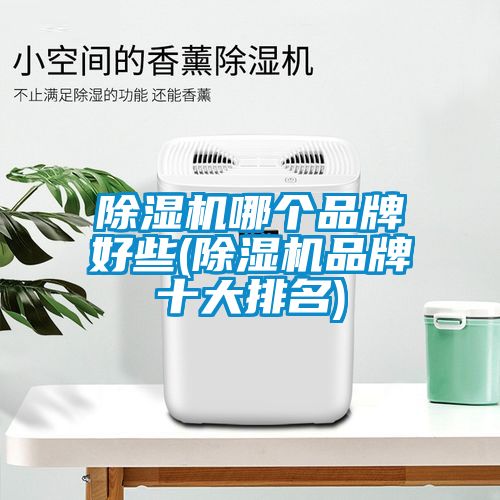 除濕機哪個品牌好些(除濕機品牌十大排名)