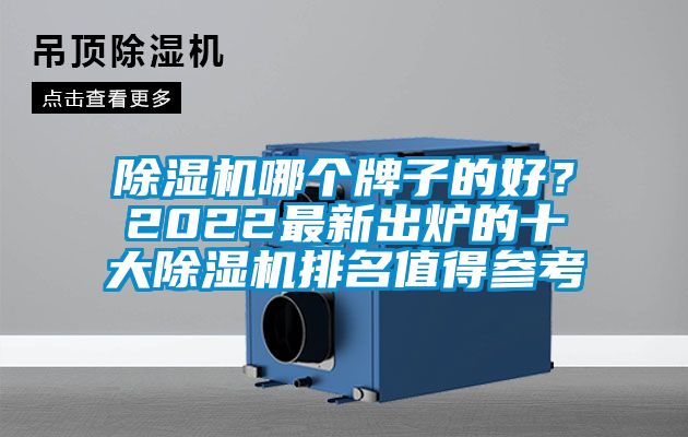 除濕機哪個牌子的好？2022最新出爐的十大除濕機排名值得參考