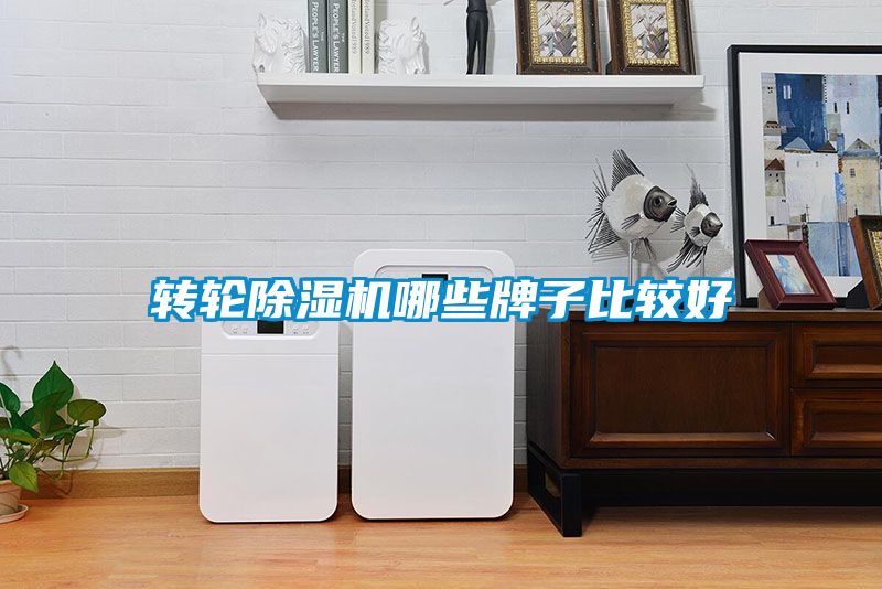 轉輪除濕機哪些牌子比較好