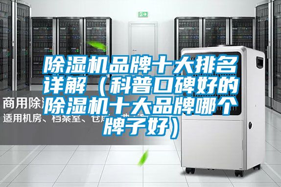 除濕機品牌十大排名詳解（科普口碑好的除濕機十大品牌哪個牌子好）