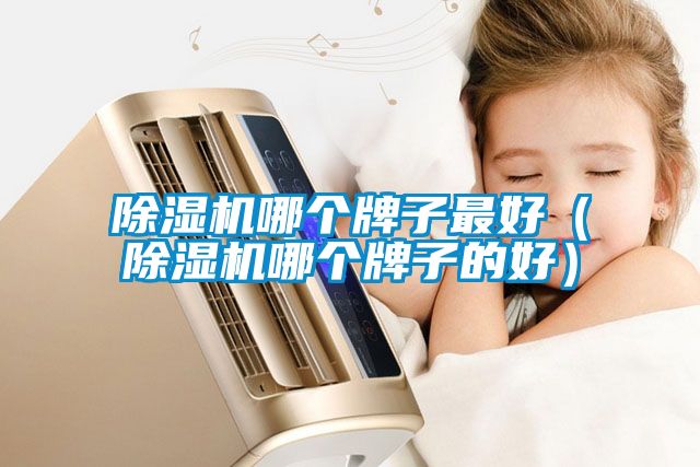 除濕機哪個牌子最好（除濕機哪個牌子的好）