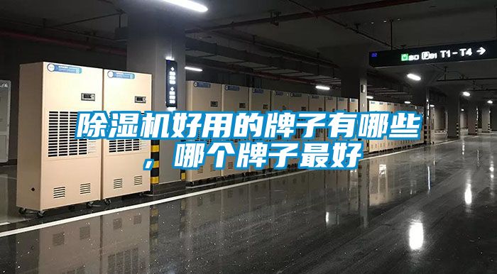 除濕機好用的牌子有哪些，哪個牌子最好