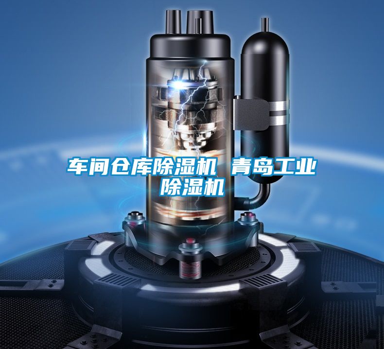 車間倉(cāng)庫(kù)除濕機(jī) 青島工業(yè)除濕機(jī)