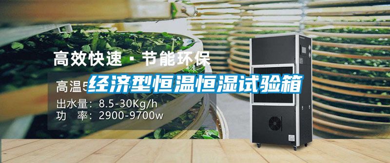 經濟型恒溫恒濕試驗箱