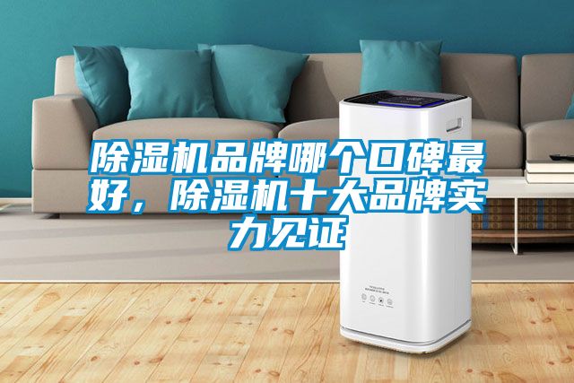 除濕機品牌哪個口碑最好，除濕機十大品牌實力見證