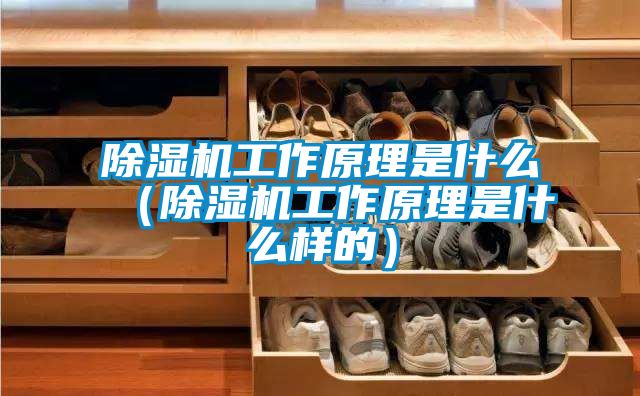 除濕機(jī)工作原理是什么(除濕機(jī)工作原理是什么樣的)