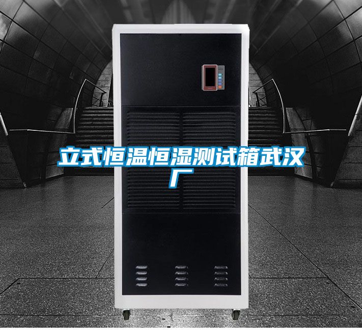 立式恒溫恒濕測(cè)試箱武漢廠