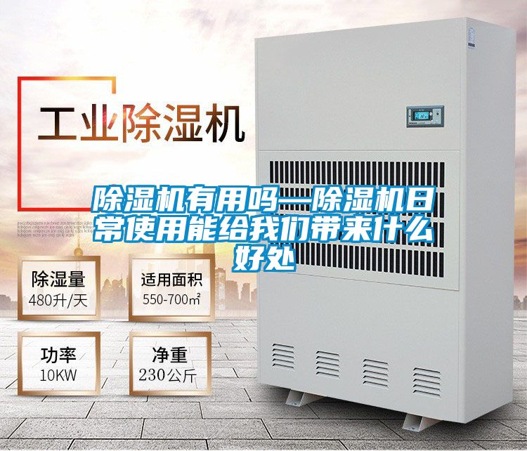 除濕機(jī)有用嗎—除濕機(jī)日常使用能給我們帶來什么好處