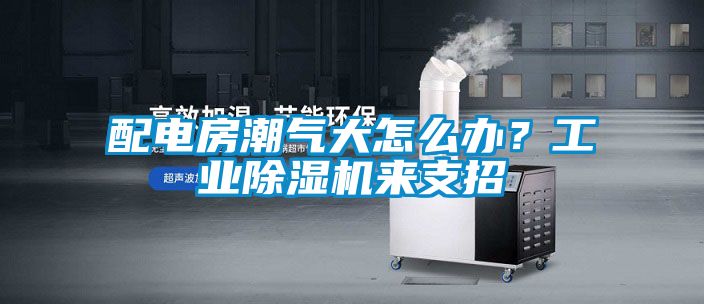 配電房潮氣大怎么辦?工業除濕機來支招