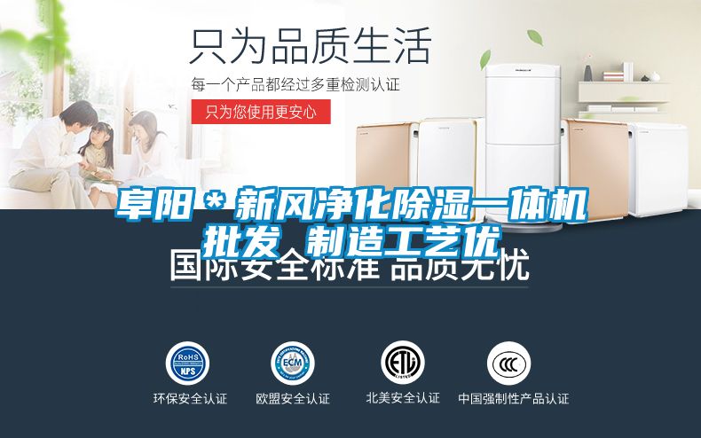 阜陽＊新風凈化除濕一體機批發 制造工藝優