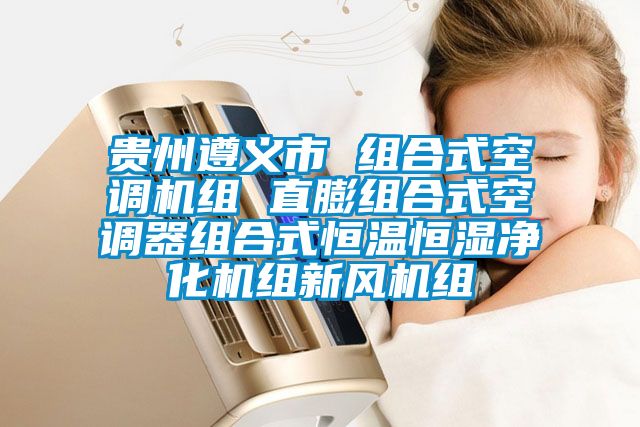 貴州遵義市 組合式空調(diào)機(jī)組 直膨組合式空調(diào)器組合式恒溫恒濕凈化機(jī)組新風(fēng)機(jī)組