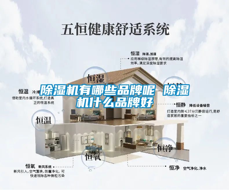 除濕機(jī)有哪些品牌呢 除濕機(jī)什么品牌好