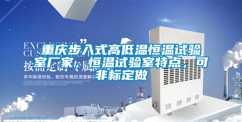 重慶步入式高低溫恒溫試驗室廠家，恒溫試驗室特點，可非標定做