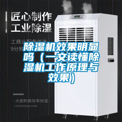 除濕機效果明顯嗎(一文讀懂除濕機工作原理與效果)