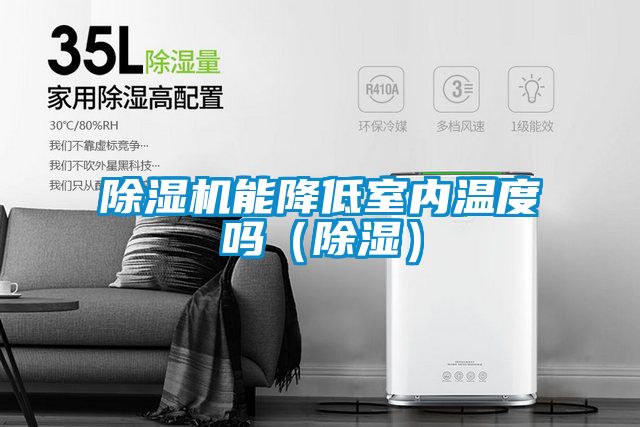 除濕機能降低室內溫度嗎（除濕）