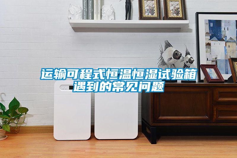 運(yùn)輸可程式恒溫恒濕試驗(yàn)箱遇到的常見問題