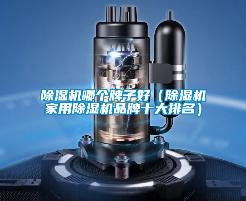 除濕機哪個牌子好（除濕機家用除濕機品牌十大排名）