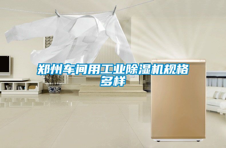 鄭州車間用工業(yè)除濕機(jī)規(guī)格多樣