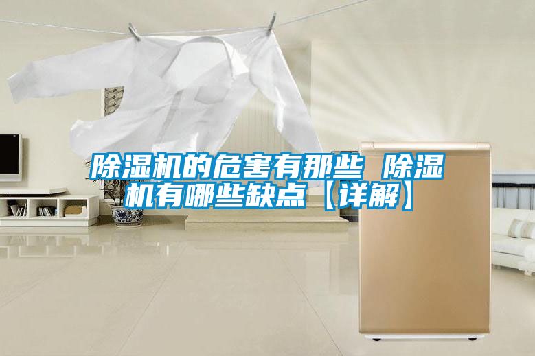 除濕機(jī)的危害有那些 除濕機(jī)有哪些缺點(diǎn)【詳解】