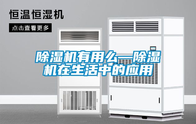 除濕機有用么—除濕機在生活中的應用