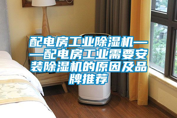 配電房工業(yè)除濕機——配電房工業(yè)需要安裝除濕機的原因及品牌推薦