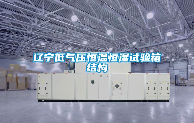 遼寧低氣壓恒溫恒濕試驗箱結構