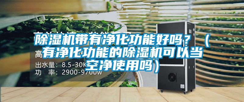除濕機帶有凈化功能好嗎？（有凈化功能的除濕機可以當空凈使用嗎）