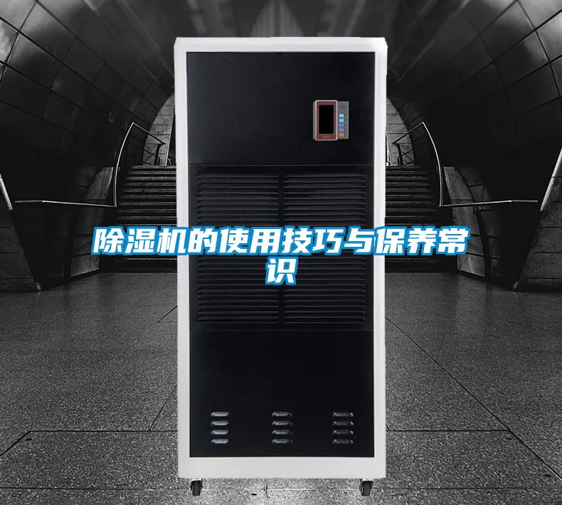 除濕機(jī)的使用技巧與保養(yǎng)常識