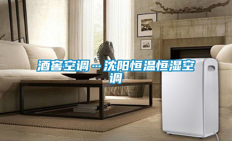 酒窖空調…沈陽恒溫恒濕空調