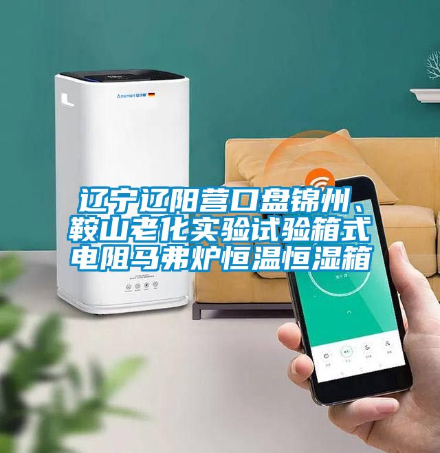 遼寧遼陽營口盤錦州、鞍山老化實驗試驗箱式電阻馬弗爐恒溫恒濕箱