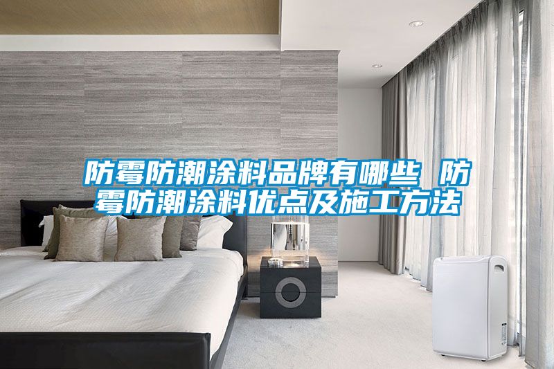 防霉防潮涂料品牌有哪些 防霉防潮涂料優點及施工方法
