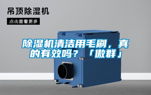 除濕機清潔用毛刷,真的有效嗎?「傲群」
