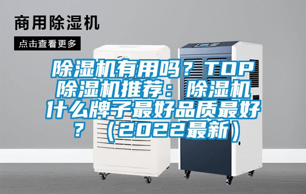 除濕機有用嗎？TOP除濕機推薦：除濕機什么牌子最好品質最好？（2022最新）