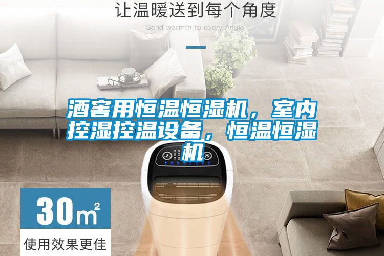 酒窖用恒溫恒濕機,室內控濕控溫設備,恒溫恒濕機