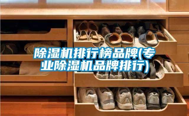 除濕機排行榜品牌(專業除濕機品牌排行)