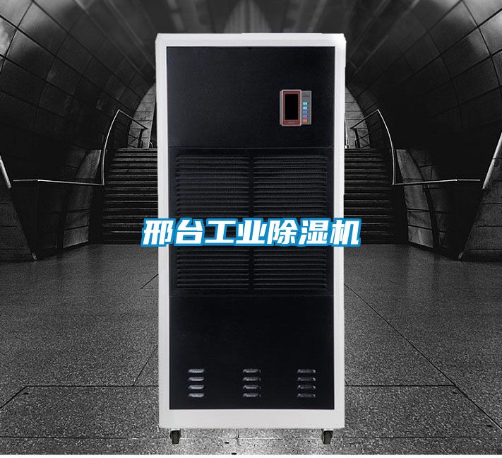 邢臺工業(yè)除濕機(jī)