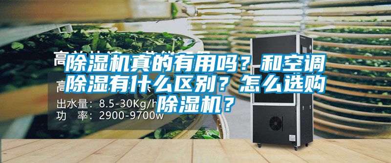除濕機真的有用嗎？和空調除濕有什么區別？怎么選購除濕機？
