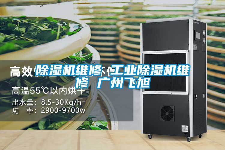 除濕機(jī)維修 工業(yè)除濕機(jī)維修 廣州飛旭