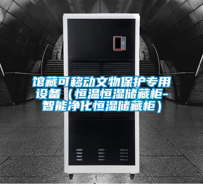 館藏可移動文物保護專用設備(恒溫恒濕儲藏柜-智能凈化恒濕儲藏柜)