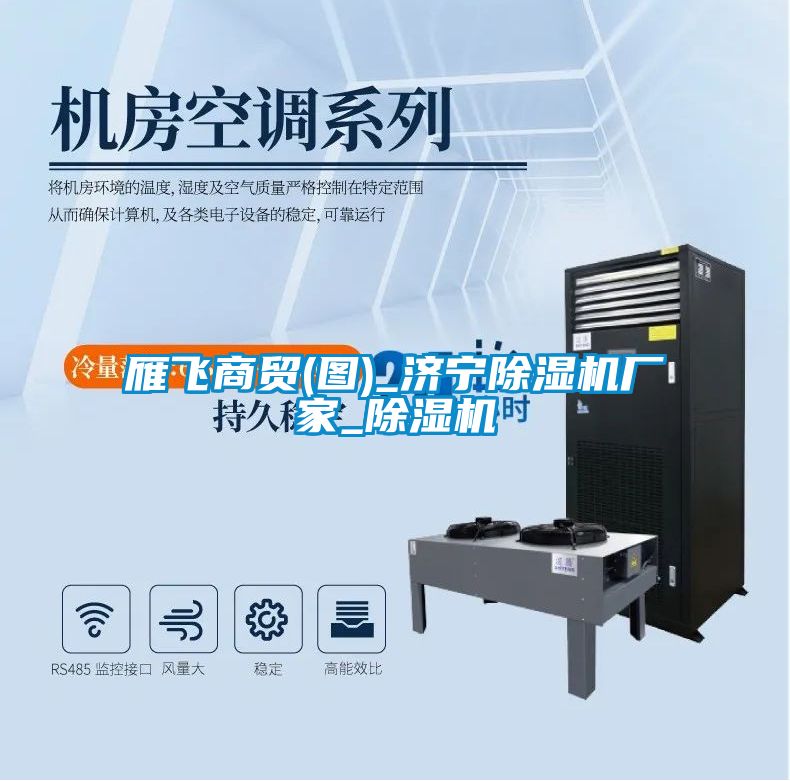 雁飛商貿(圖)_濟寧除濕機廠家_除濕機