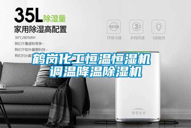 鶴崗化工恒溫恒濕機 調溫降溫除濕機