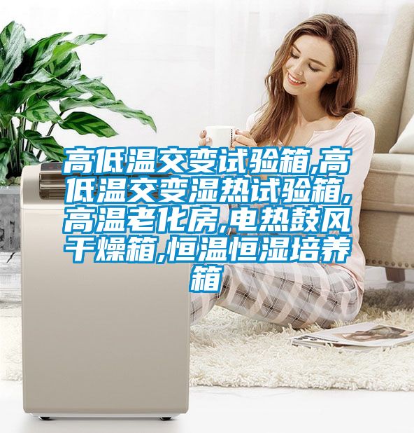 高低溫交變?cè)囼?yàn)箱,高低溫交變濕熱試驗(yàn)箱,高溫老化房,電熱鼓風(fēng)干燥箱,恒溫恒濕培養(yǎng)箱