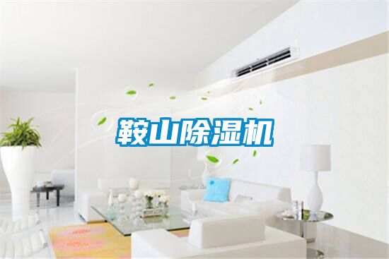 鞍山除濕機(jī)