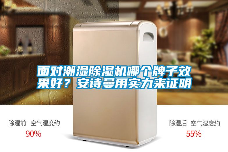 面對潮濕除濕機哪個牌子效果好？安詩曼用實力來證明